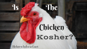kosher, kosher diet, kosher meaning, what does kosher mean, what is kosher