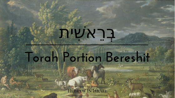 bereshit, creation myths, creation stories, creation story, enuma elish, Genesis, genesis story, this weeks torah portion, Torah Portion, torah portion this week
