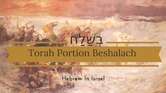 beshalach, Parashat Beshalach, Moses, red sea, this weeks torah portion, Torah Portion, weekly torah portion