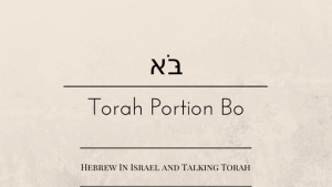 pesach, Passover, Parashat Bo, this weeks torah portion, Torah Portion, Bo, weekly torah portion