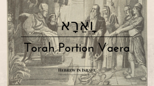 free will, free will in the bible, moses and pharaoh, Parashat Vaera, this weeks torah portion, Torah Portion, Vaera, weekly torah portion