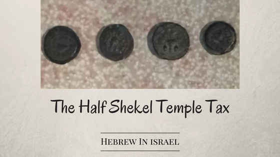 exodus 30, half shekel, temple tax,
