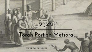 leper, leprosy, leprosy in the bible, leviticus 13, torah portion this week, tzara, weekly torah portion