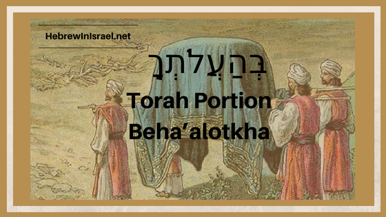 35 36, 70 elders, Arise o lord, bible verses about enemies, torah portion this week, weekly torah portion
