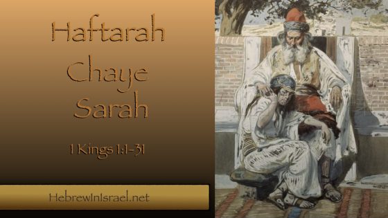 1 KINGS 1, HAFTARAH CHAYEI SARAH, KING DAVID