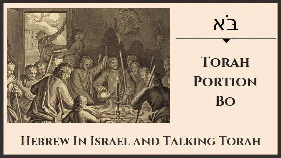 pesach, Passover, Parashat Bo, this weeks torah portion, Torah Portion, Bo, weekly torah portion