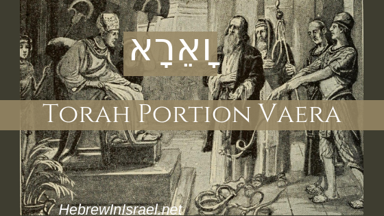 free will, free will in the bible, moses and pharaoh, Parashat Vaera, this weeks torah portion, Torah Portion, Vaera, weekly torah portion